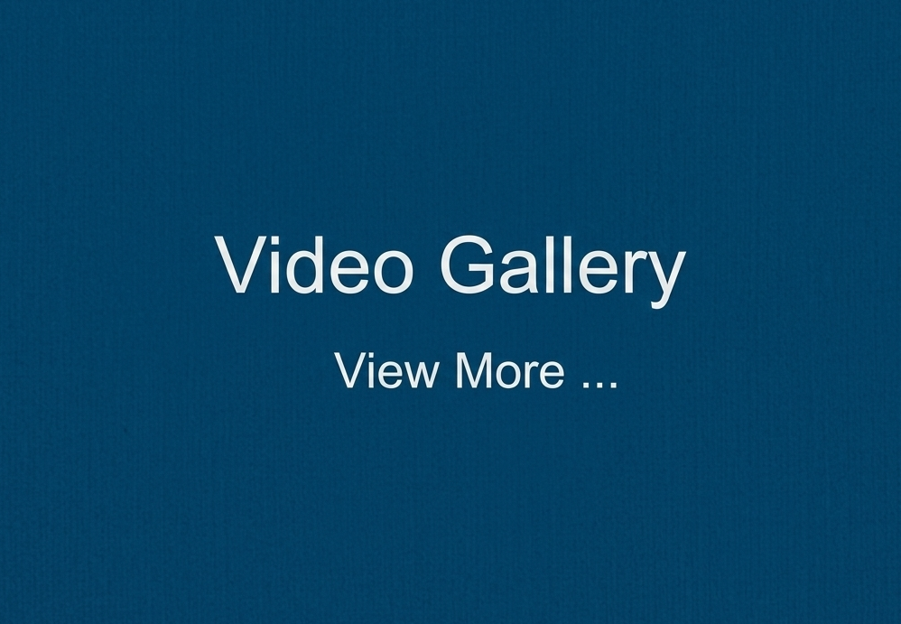 Video gallery preview thumbnail