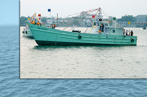 Tuna Liner