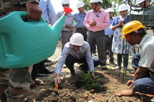 Tree planting by chairman on 11/10/2020